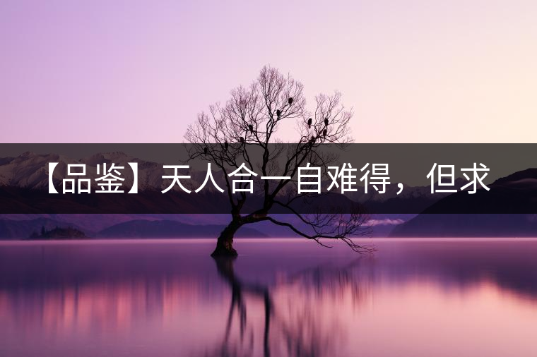 【品鑒】天人合一自難得，但求得茶之本味