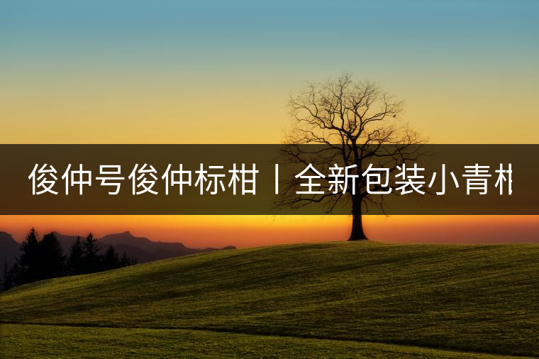 俊仲號(hào)俊仲標(biāo)柑丨全新包裝小青柑震撼上市！