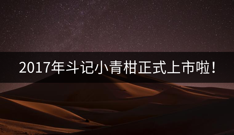 2017年斗記小青柑正式上市啦！