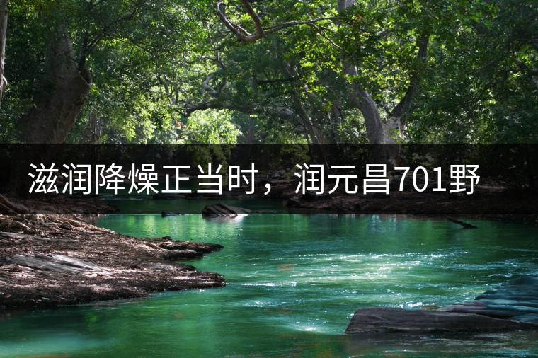 滋潤降燥正當(dāng)時(shí)，潤元昌701野生古樹紅茶驚鴻再現(xiàn)