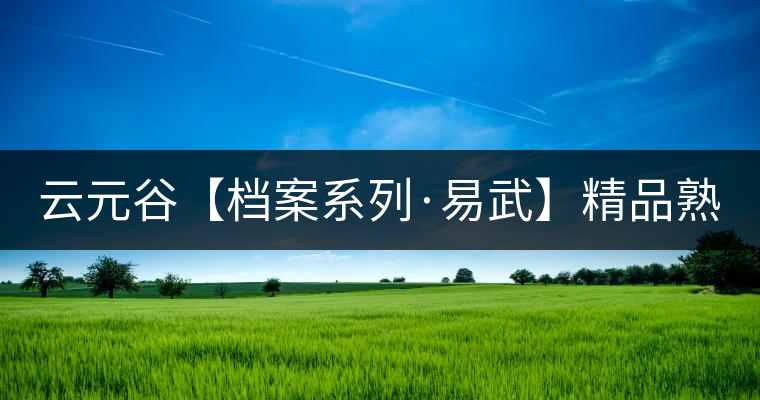 云元谷【檔案系列·易武】精品熟茶，精裝上市！
