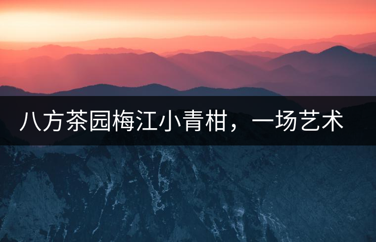 八方茶園梅江小青柑，一場藝術(shù)巔峰的際會【新品上市】！