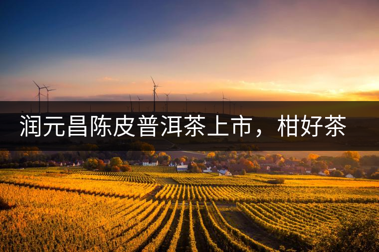 潤元昌陳皮普洱茶上市，柑好茶更好，精品普洱茶