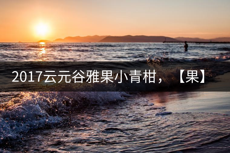 2017云元谷雅果小青柑，【果】真來(lái)了