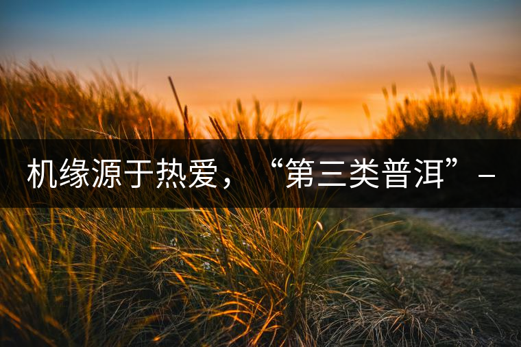 機(jī)緣源于熱愛，“第三類普洱”——“散壓茶TM”的誕生。