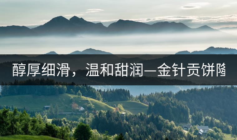 醇厚細(xì)滑，溫和甜潤—金針貢餅隆重上市！