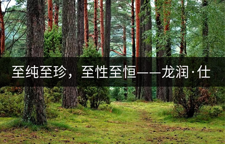 至純至珍，至性至恒——龍潤·仕通茶新上市！