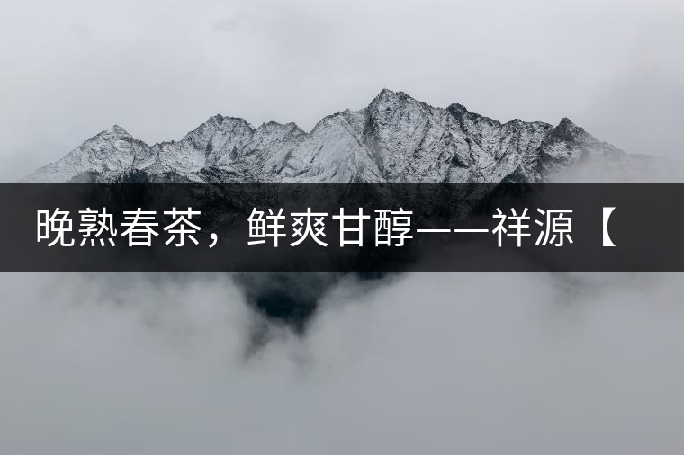 晚熟春茶，鮮爽甘醇——祥源【政和大白】清鮮上市