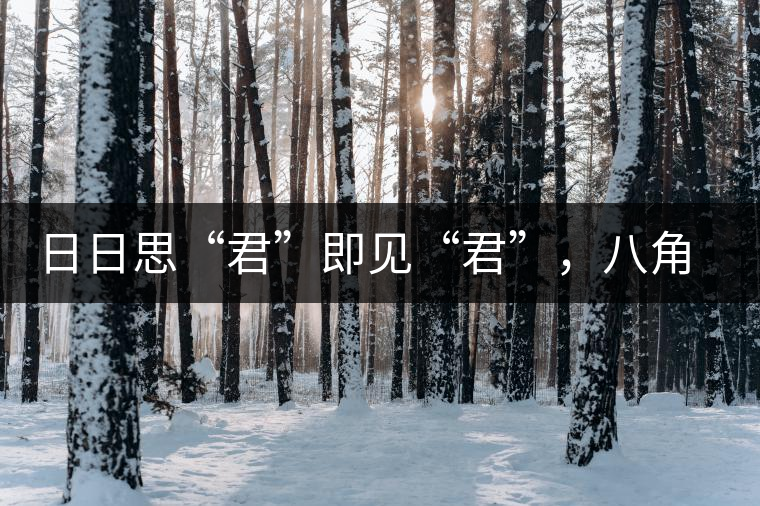 日日思“君”即見“君”，八角亭竹筒茶君子即將上市