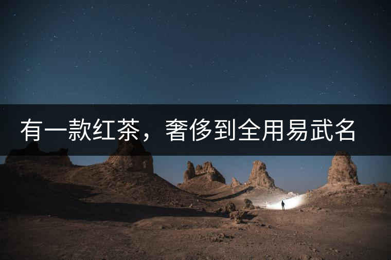 有一款紅茶，奢侈到全用易武名寨古樹茶發(fā)酵！