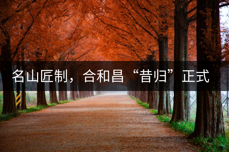 名山匠制，合和昌“昔歸”正式上市