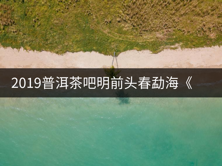 2019普洱茶吧明前頭春勐?！对鹿獍住钒撞鑳?yōu)惠訂購