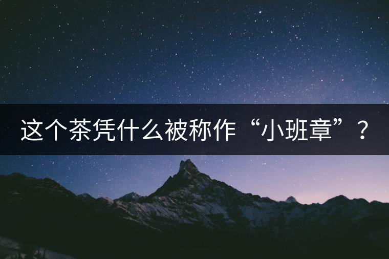 這個茶憑什么被稱作“小班章”？