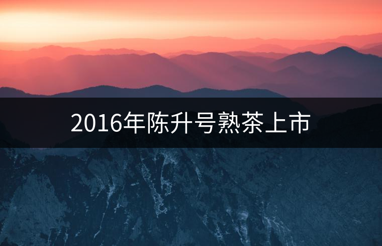 2016年陳升號(hào)熟茶上市