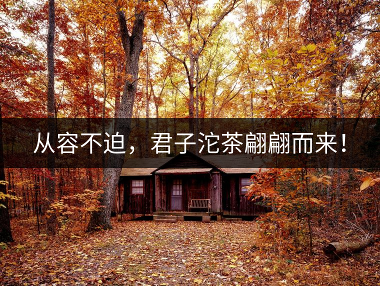 從容不迫，君子沱茶翩翩而來(lái)！