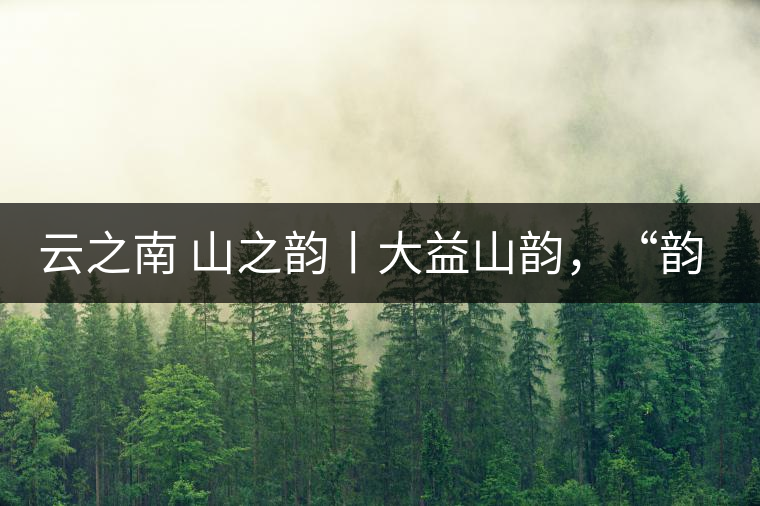 云之南 山之韻丨大益山韻，“韻”味傳奇之山韻歸來