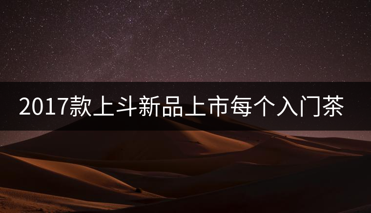 2017款上斗新品上市每個入門茶人都欠自己一餅上斗！