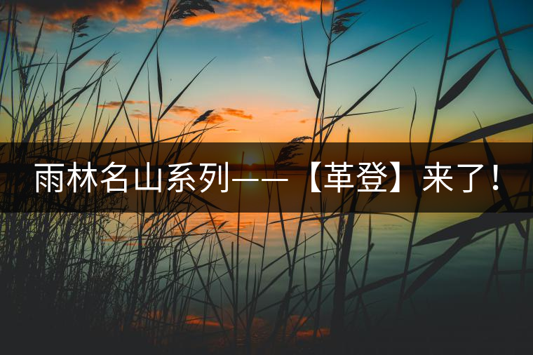 雨林名山系列——【革登】來了！