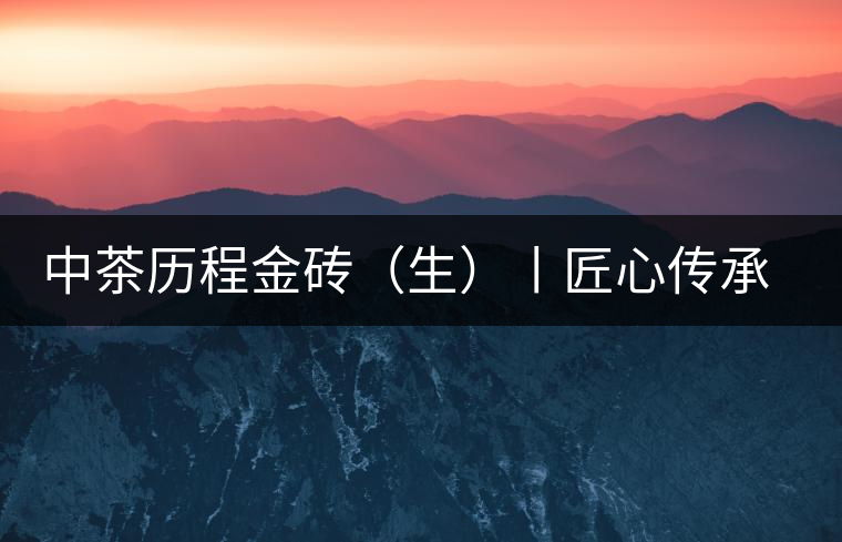 中茶歷程金磚（生）丨匠心傳承，精品迭出