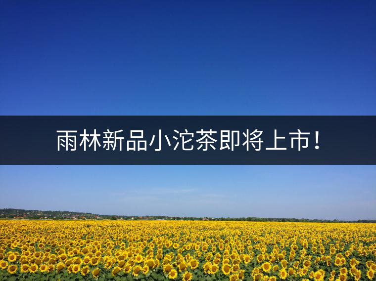 雨林新品小沱茶即將上市！