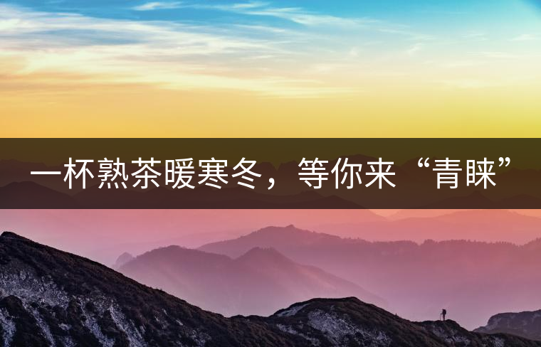 一杯熟茶暖寒冬，等你來(lái)“青睞”