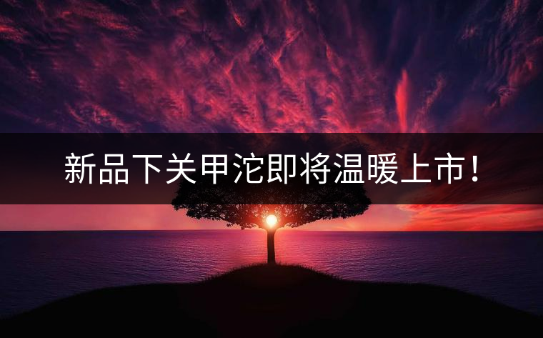 新品下關(guān)甲沱即將溫暖上市！