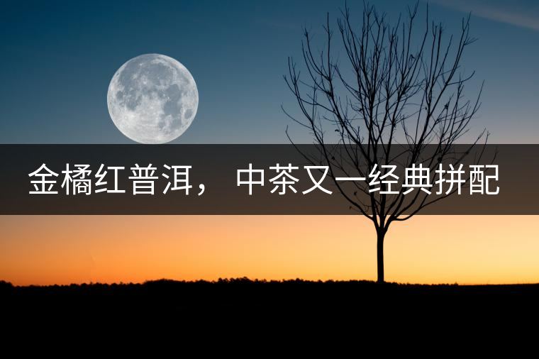 金橘紅普洱， 中茶又一經(jīng)典拼配力作，值得期待！