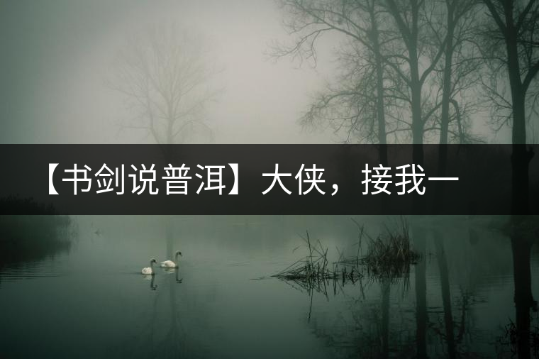 【書劍說普洱】大俠，接我一棒