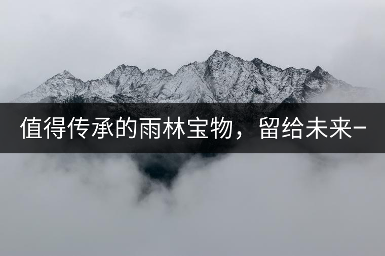 值得傳承的雨林寶物，留給未來一點(diǎn)“回甘”！