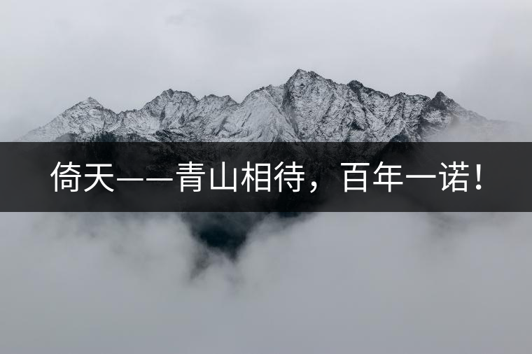 倚天——青山相待，百年一諾！