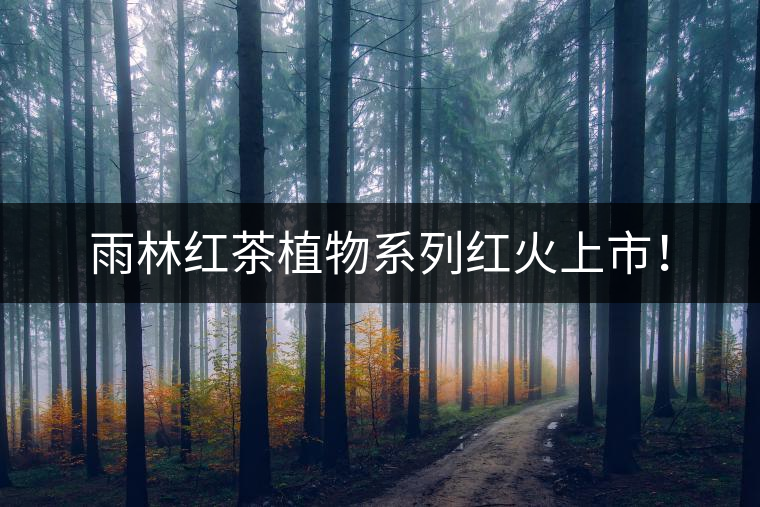 雨林紅茶植物系列紅火上市！