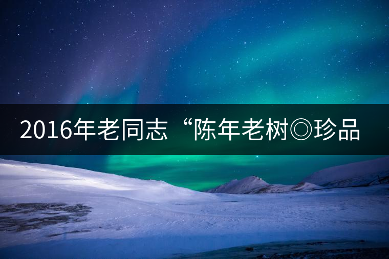 2016年老同志“陳年老樹◎珍品普洱”隆重上市！