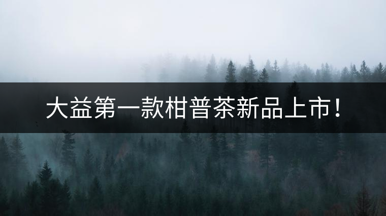 大益第一款柑普茶新品上市！