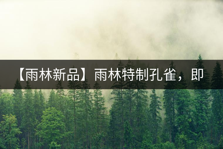 【雨林新品】雨林特制孔雀，即將妙態(tài)綻放