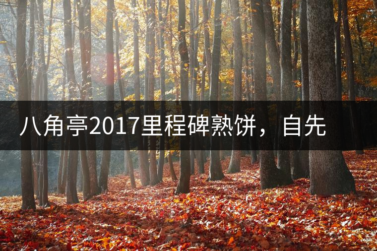 八角亭2017里程碑熟餅，自先發(fā)酵而后愛人