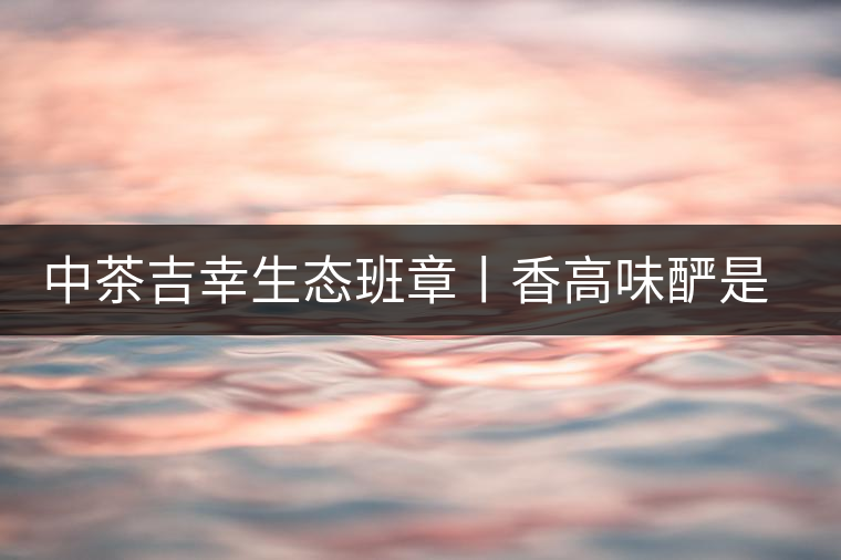 中茶吉幸生態(tài)班章丨香高味釅是王者，且品且珍惜