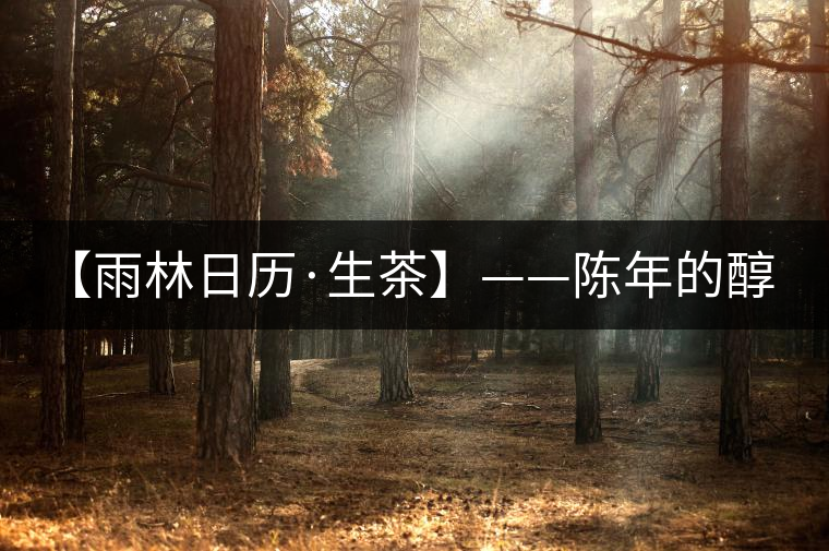 【雨林日歷·生茶】——陳年的醇，老料的香！