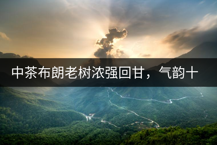 中茶布朗老樹(shù)濃強(qiáng)回甘，氣韻十足