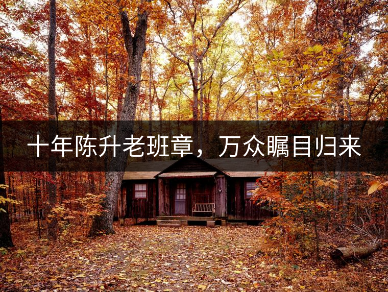 十年陳升老班章，萬(wàn)眾矚目歸來(lái)