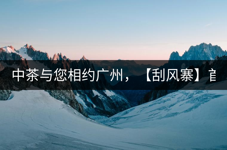 中茶與您相約廣州，【刮風寨】首次亮相！