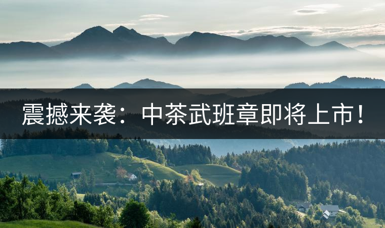 震撼來襲：中茶武班章即將上市！