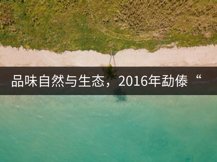 品味自然與生態(tài)，2016年勐傣“大雪山古樹茶”