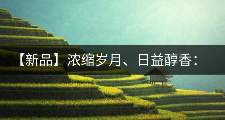 【新品】濃縮歲月、日益醇香：陳臻號(hào)陳品熟餅即將上市！