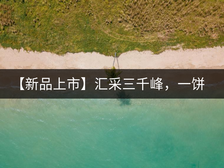 【新品上市】匯采三千峰，一餅群山鑄——群峰之峻！