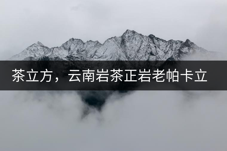 茶立方，云南巖茶正巖老帕卡立方磚今日芳香出爐