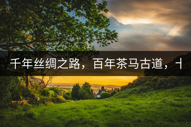 千年絲綢之路，百年茶馬古道，十年尋茶之旅，鑄造Puertea（十年紀(jì)念茶）