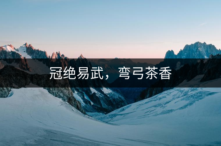 冠絕易武，彎弓茶香