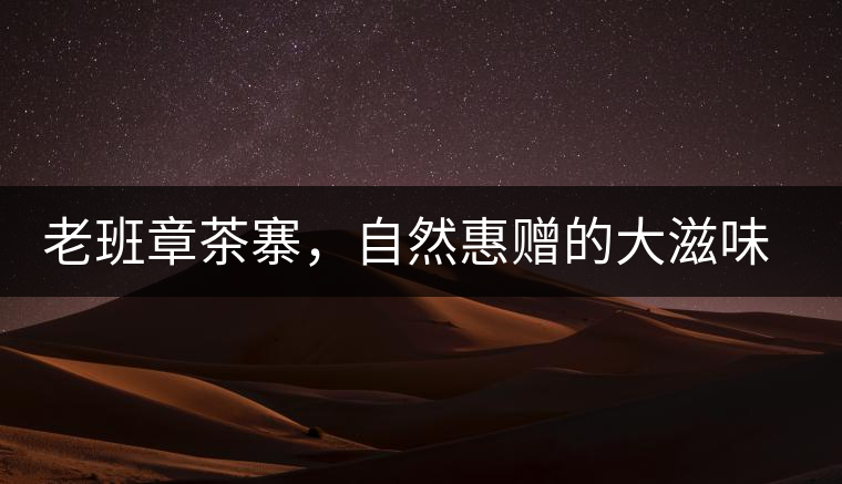 老班章茶寨，自然惠贈的大滋味，大滿足