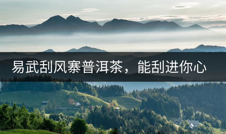 易武刮風(fēng)寨普洱茶，能刮進(jìn)你心中的一道風(fēng)