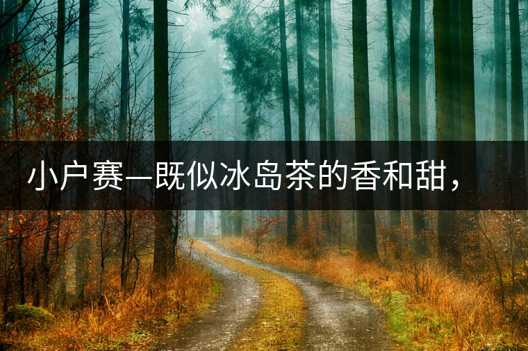 小戶賽—既似冰島茶的香和甜，又有其獨特的純和凈